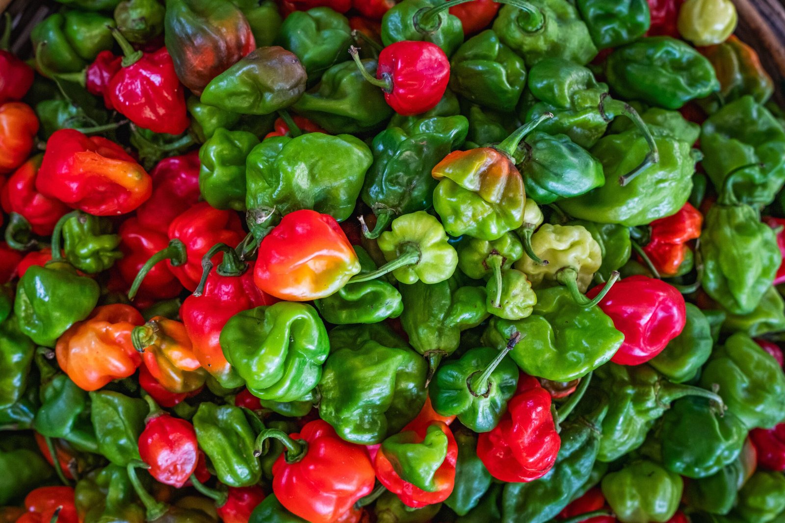 Close-up of colorful habanero peppers at a market in Colombo, Sri Lanka.