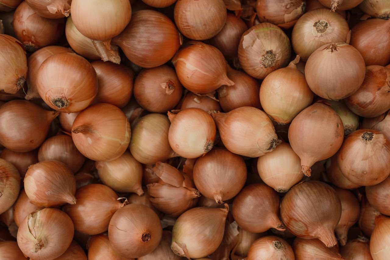 Close-up of fresh organic onions in a natural setting, perfect for healthy food concepts.